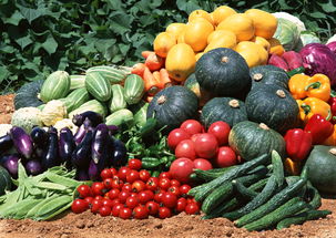 山西曝光10批次不合格食品，小食雜也上榜了！